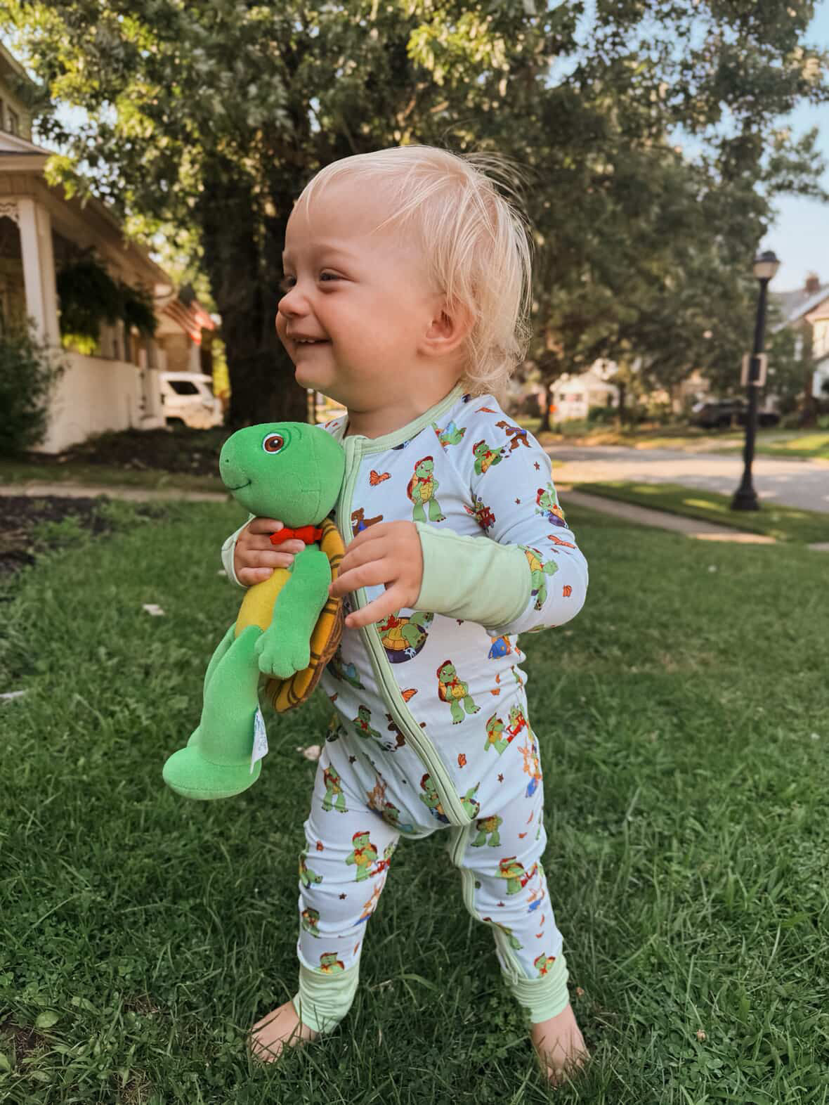 Turtle Friends Zippy