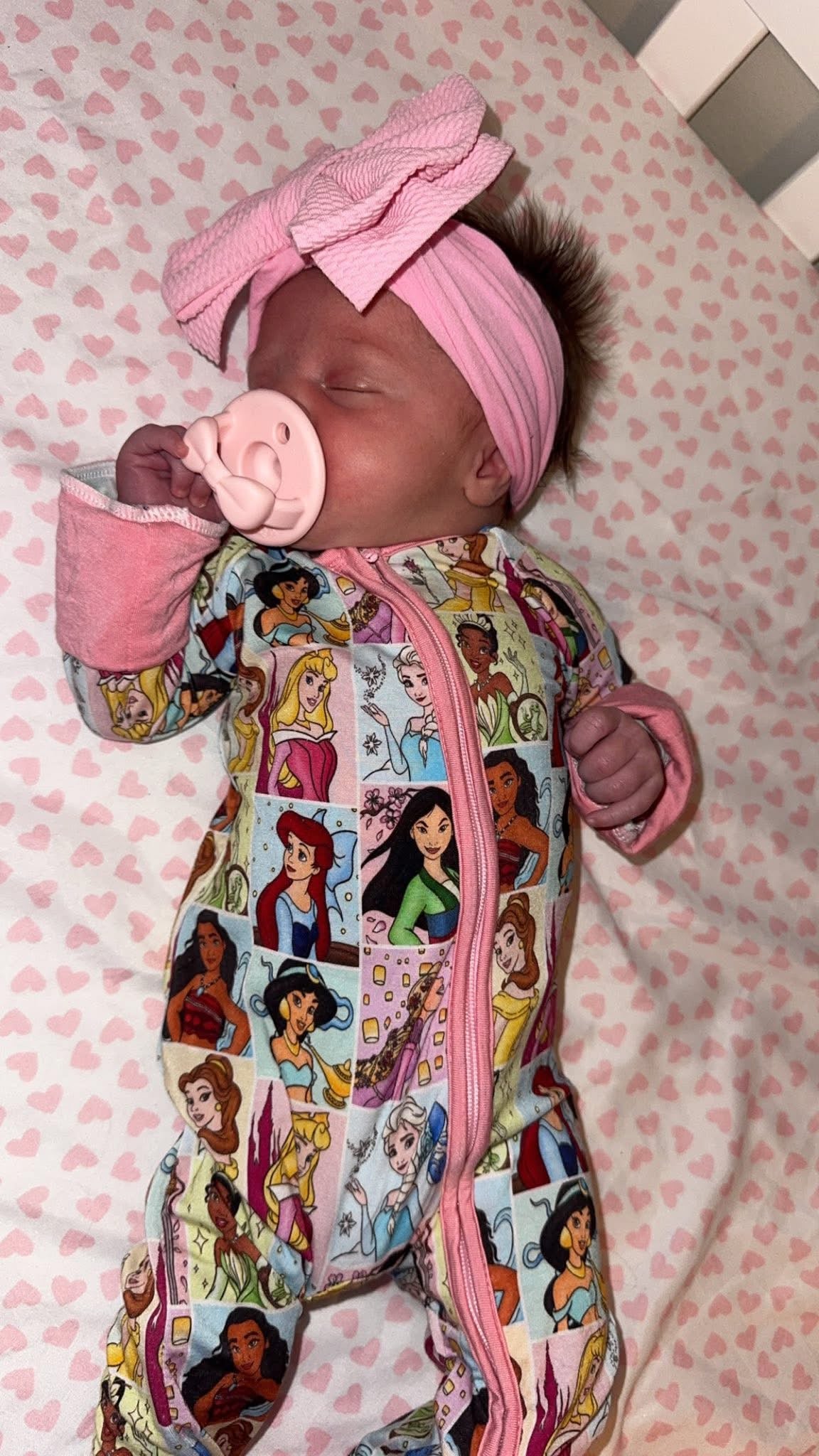 Pretty Princess Zippy