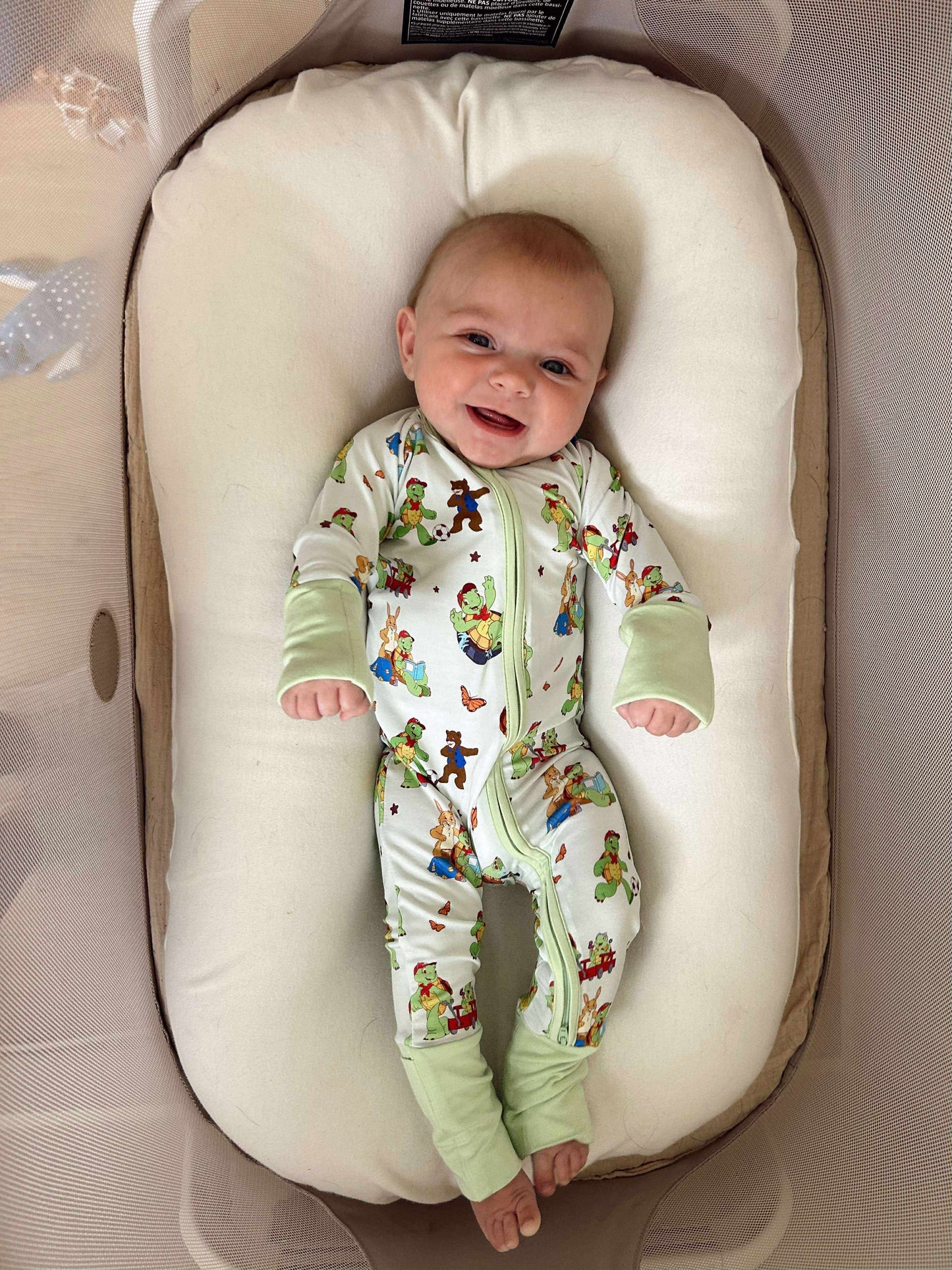 Turtle Friends Zippy